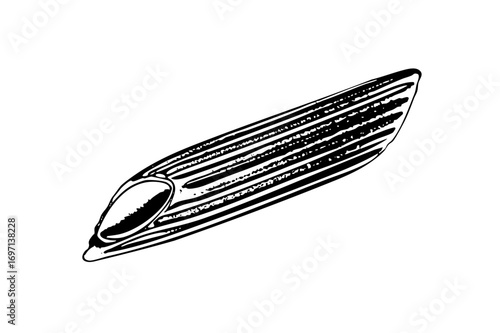 Vector Detailed of a single clam with textured lines.