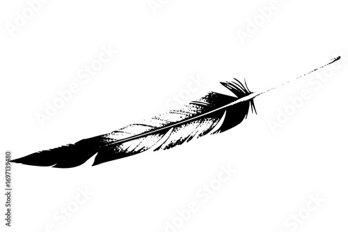 Vector Elegant black feather with detailed barbs.