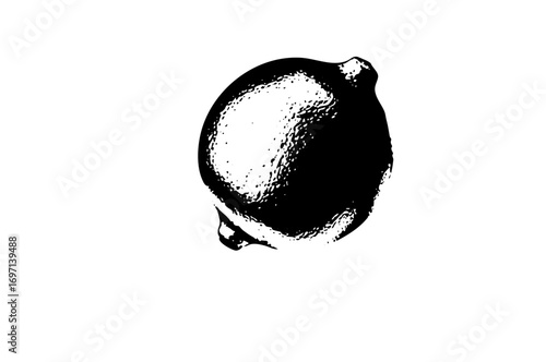 Vector Detailed black and white of a single lemon with dripping juice.