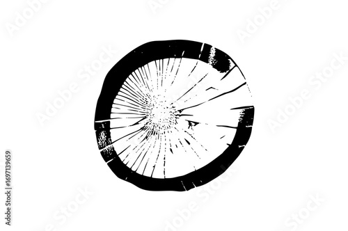 Vector Detailed tree ring showcases natural growth .