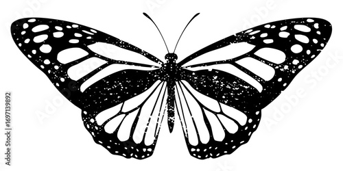 Vector Elegant black and white butterfly with detailed wings.