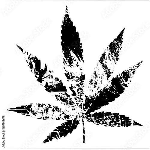 Vector Detailed botanical of a cannabis leaf.