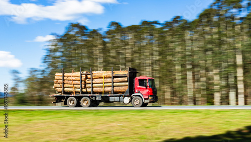 From Forest to Future