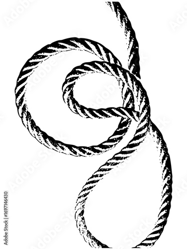 Vector Intricate coiled rope with textured strands.