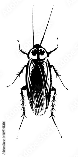 Vector Detailed of a cockroach with prominent eyes and spiky legs.