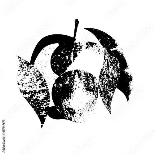 Vector Black and white of plums with leaves.