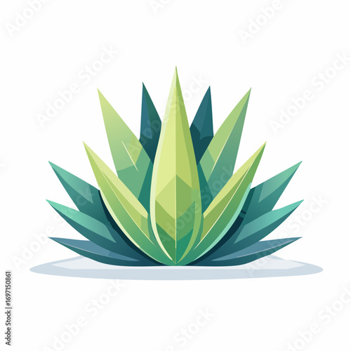 Stylized Green Agave Plant on White Background