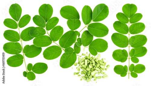 Fresh Moringa leaves and powder