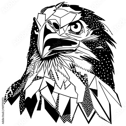 Vector Detailed vector of a majestic raptor head with intricate feather .