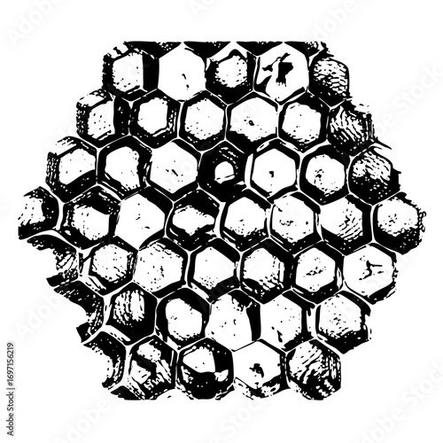 Vector Intricate honeycomb with textured cells.