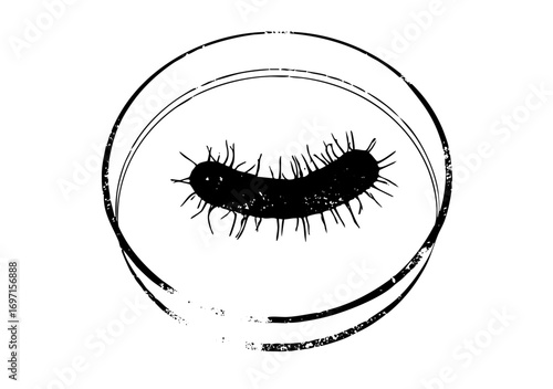 Vector Black caterpillar within concentric circles