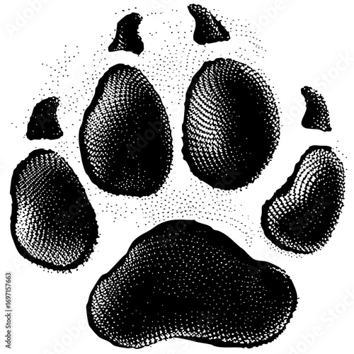 Vector Detailed black paw print with textured pads.