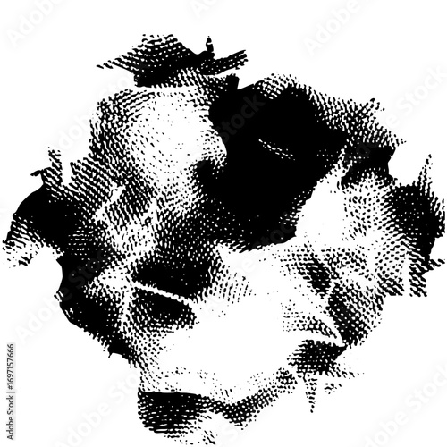 Vector Dual Portrait with Textured Details