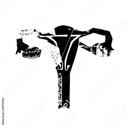 Vector Detailed black vector of a female reproductive system.