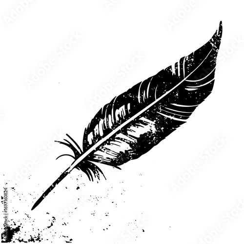 Vector Elegant black feather with detailed barbs and quill.