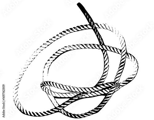 Vector Intricate rope depicts a coiled lasso with a slender handle.