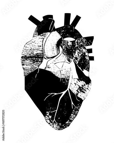 Vector Detailed anatomical heart in monochrome style.