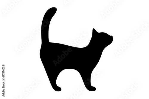 Black cat silhouette standing and looking up with its tail raised
