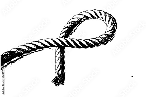 Vector Detailed of a twisted rope with a looped end.