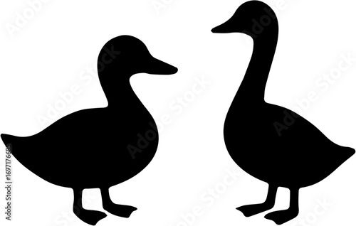 vector illustration of two ducks silhouette, isolated on white