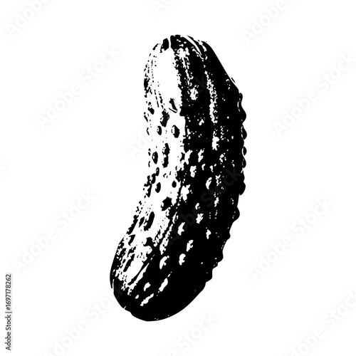 Vector Detailed black and white of a textured cucumber.