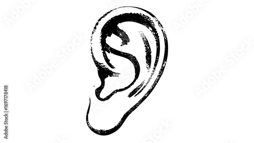 Vector Stylized ear with a cat silhouette inside.