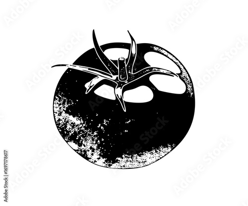 Vector Floral emblem featuring a stylized orchid and circular .