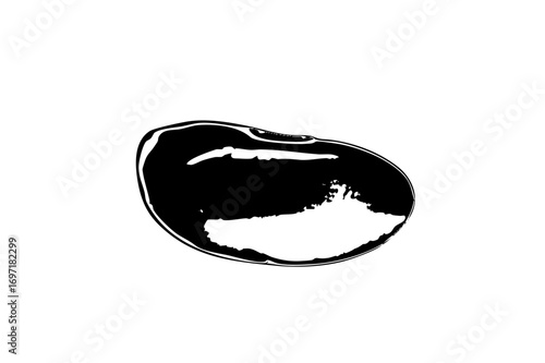 Vector Black and white of a halved chestnut with a visible kernel.