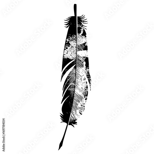 Vector Detailed black feather with textured strokes.