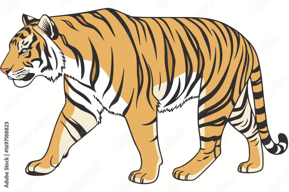 Obraz premium tiger vector illustration