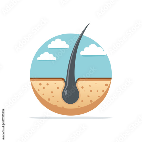 Conceptual illustration of a healthy hair follicle and root in skin cross-section