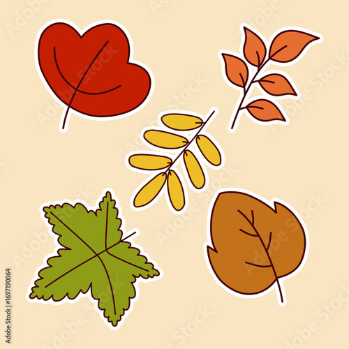 Autumn leaves oak maple aspen and birch fall foliage illustration