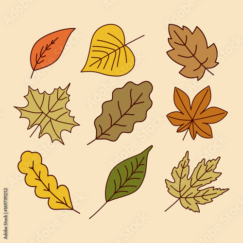 Autumn leaves oak maple aspen and birch fall foliage illustration