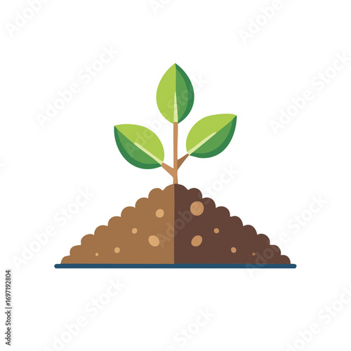 Small Plant Growing From Soil Mound Representing New Life and Gardening
