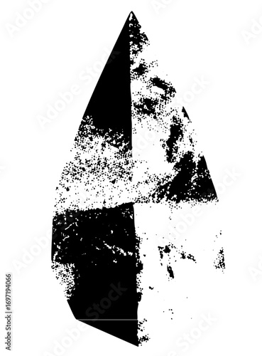 Vector Abstract geometric shape resembling a stylized landmass with contrasting black and white areas.