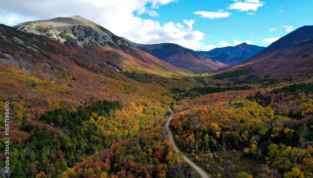Naklejka premium Scenic vista of vibrant foliage in mountainous valley during autumn day