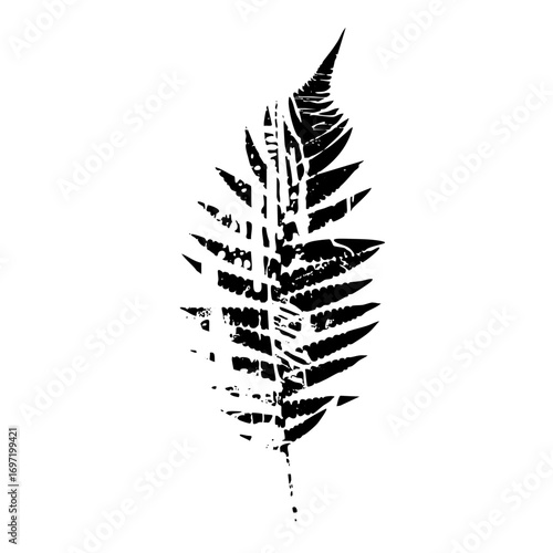 Vector Elegant fern frond showcases botanical detail.