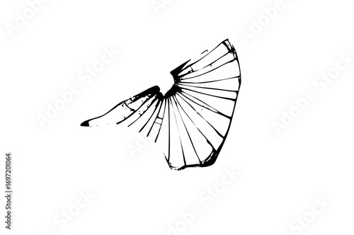 Vector Elegant butterfly wing with linear details.