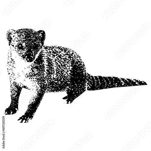 Vector Detailed of a stalking canine with textured fur.