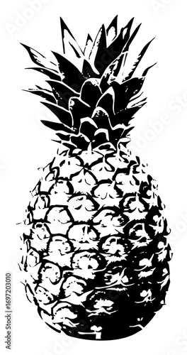 Vector Detailed black vector of a pineapple fruit.