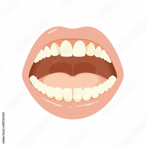 Bouche ouverte de femme, lèvres roses, dentition entièrement visible, fond blanc