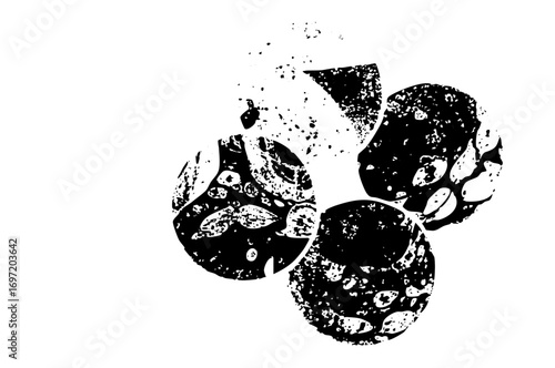 Vector Abstract floral shapes disintegrate into scattered fragments.