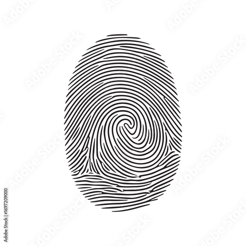 Detailed Black and White Fingerprint on White Background