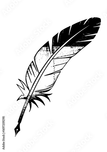 Vector Vintage quill pen and feather .