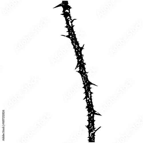 Vector Sharp thorny branch with jagged edges.