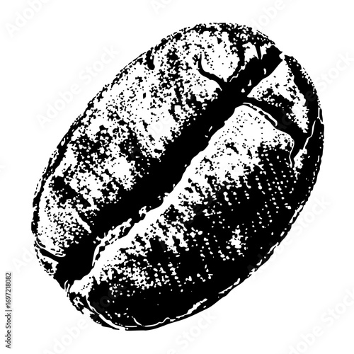 Vector Detailed black and white coffee bean .