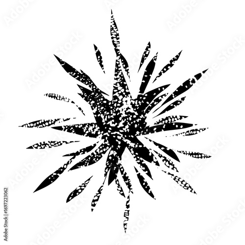 Vector Abstract starburst with speckled details.