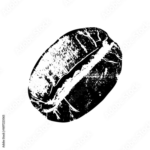 Vector Detailed of a single coffee bean with a prominent central crease.