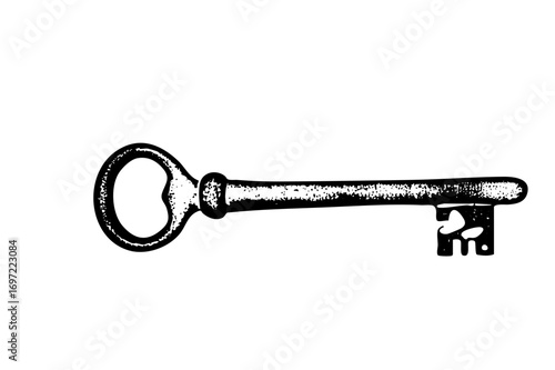 Vector Vintage skeleton key with circular head.