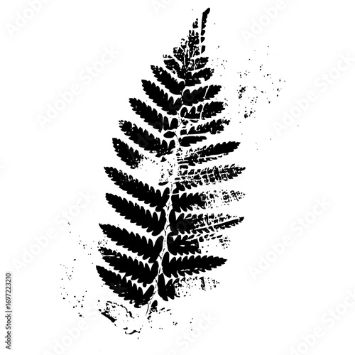 Vector Detailed black fern frond showcases natural botanical elements.